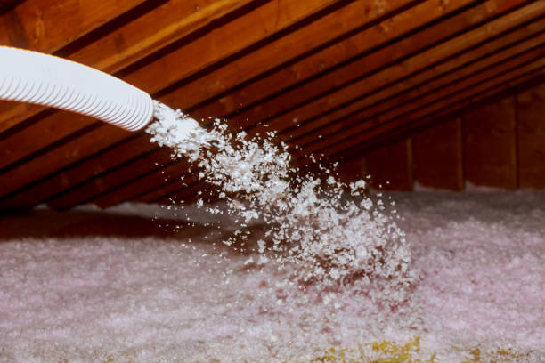 Best Attic Insulation Installation  in Edgecliff Village, TX