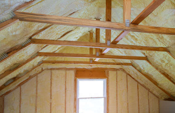 Best Insulation for New Construction  in Edgecliff Village, TX