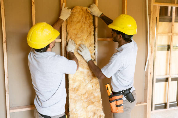 Best Blown-in Insulation  in Edgecliff Village, TX