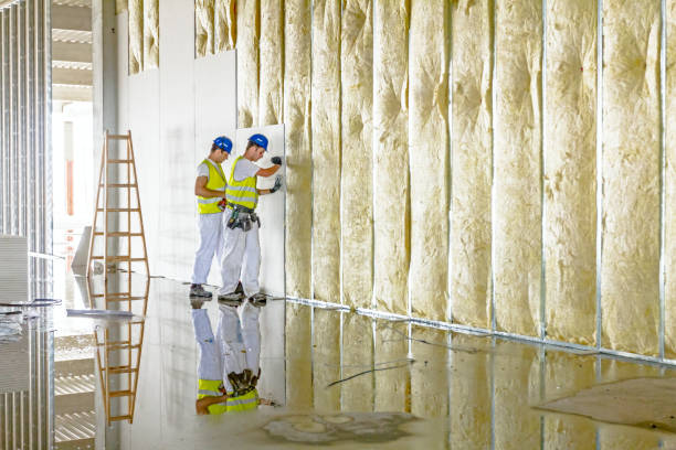 Best Wall Insulation Contractor  in Edgecliff Village, TX